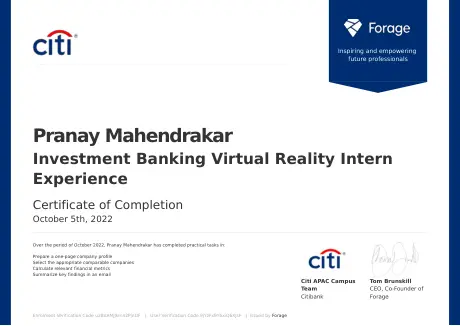 Investment Banking Virtual Reality Intern