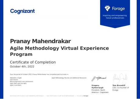 Agile Methodology Virtual Experience