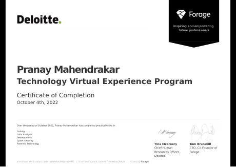 Technology Virtual Experience Program