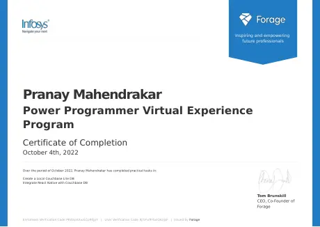 Power Programmer Virtual Experience