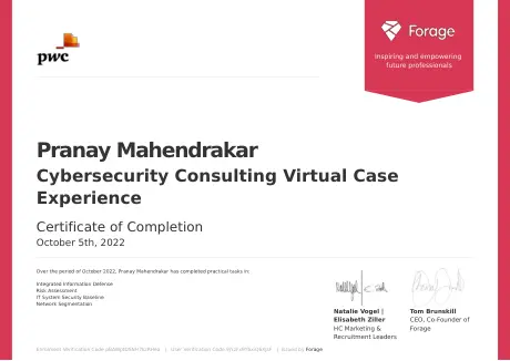 Cybersecurity Consulting Virtual Case