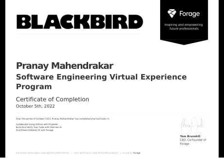 Software Engineering Virtual Experience